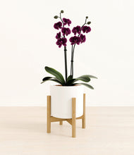 Load image into Gallery viewer, White stand:bamboo
