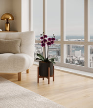 Load image into Gallery viewer, Black stand:walnut