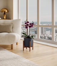 Load image into Gallery viewer, Deep Navy stand:walnut