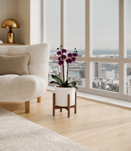 Load image into Gallery viewer, White stand:walnut