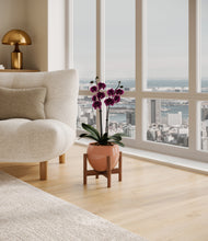 Load image into Gallery viewer, Calm Rose stand:walnut