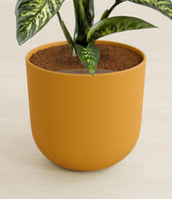 Load image into Gallery viewer, Sunset Orange stand:all