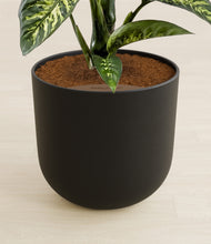 Load image into Gallery viewer, Stone Black stand:all