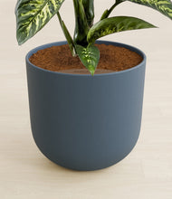 Load image into Gallery viewer, Iron Gray stand:all