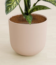 Load image into Gallery viewer, Sandy Pink stand:all