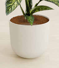 Load image into Gallery viewer, Natural Bamboo stand:all