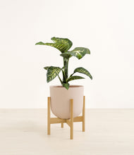 Load image into Gallery viewer, Sandy Pink stand:bamboo