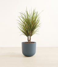 Load image into Gallery viewer, Iron Gray*****Profile