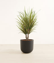 Load image into Gallery viewer, Stone Black*****Profile