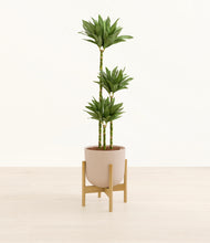 Load image into Gallery viewer, Sandy Pink stand:bamboo