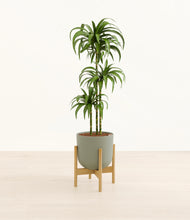 Load image into Gallery viewer, Sage Green stand:bamboo