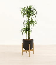 Load image into Gallery viewer, Stone Black stand:bamboo