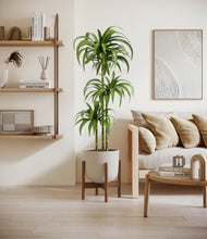 Load image into Gallery viewer, Natural Bamboo stand:walnut