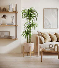 Load image into Gallery viewer, Sandy Pink stand:bamboo