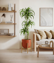 Load image into Gallery viewer, Earth Red stand:bamboo