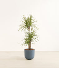 Load image into Gallery viewer, Iron Gray*****Profile