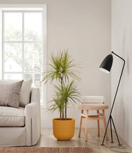 Load image into Gallery viewer, Sunset Orange