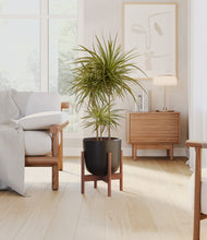 Load image into Gallery viewer, Stone Black stand:walnut