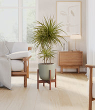 Load image into Gallery viewer, Sage Green stand:walnut