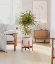 Load image into Gallery viewer, Sandy Pink stand:walnut