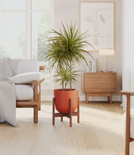 Load image into Gallery viewer, Earth Red stand:walnut