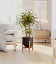 Load image into Gallery viewer, Stone Black stand:bamboo