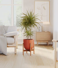 Load image into Gallery viewer, Earth Red stand:bamboo
