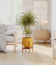 Load image into Gallery viewer, Sunset Orange stand:bamboo