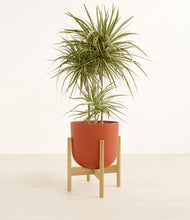 Load image into Gallery viewer, Earth Red stand:bamboo