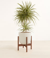 Load image into Gallery viewer, Natural Bamboo stand:walnut