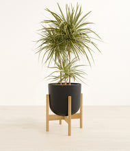 Load image into Gallery viewer, Stone Black stand:bamboo