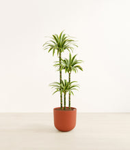 Load image into Gallery viewer, Earth Red*****Profile