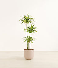 Load image into Gallery viewer, Sandy Pink*****Profile