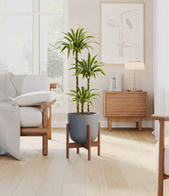 Load image into Gallery viewer, Iron Gray stand:walnut