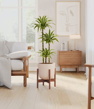 Load image into Gallery viewer, Sandy Pink stand:walnut