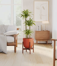 Load image into Gallery viewer, Earth Red stand:walnut