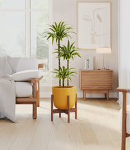 Load image into Gallery viewer, Sunset Orange stand:walnut