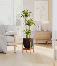 Load image into Gallery viewer, Stone Black stand:bamboo