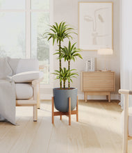 Load image into Gallery viewer, Iron Gray stand:bamboo