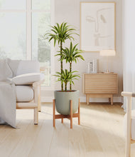 Load image into Gallery viewer, Sage Green stand:bamboo