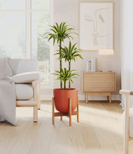 Load image into Gallery viewer, Earth Red stand:bamboo