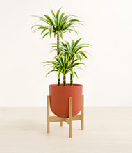 Load image into Gallery viewer, Earth Red stand:bamboo