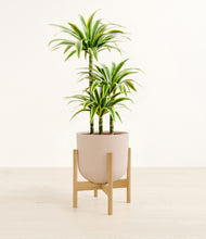 Load image into Gallery viewer, Sandy Pink stand:bamboo