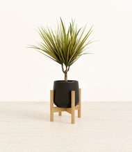 Load image into Gallery viewer, Black stand:bamboo