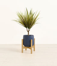 Load image into Gallery viewer, Deep Navy stand:bamboo