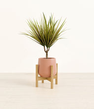 Load image into Gallery viewer, Calm Rose stand:bamboo