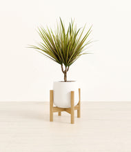 Load image into Gallery viewer, White stand:bamboo