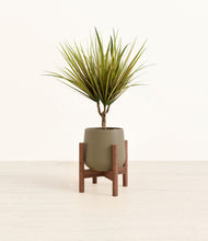 Load image into Gallery viewer, Olive stand:walnut