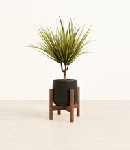 Load image into Gallery viewer, Black stand:walnut