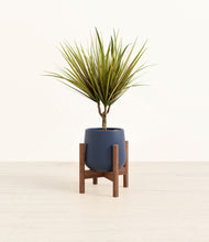 Load image into Gallery viewer, Deep Navy stand:walnut